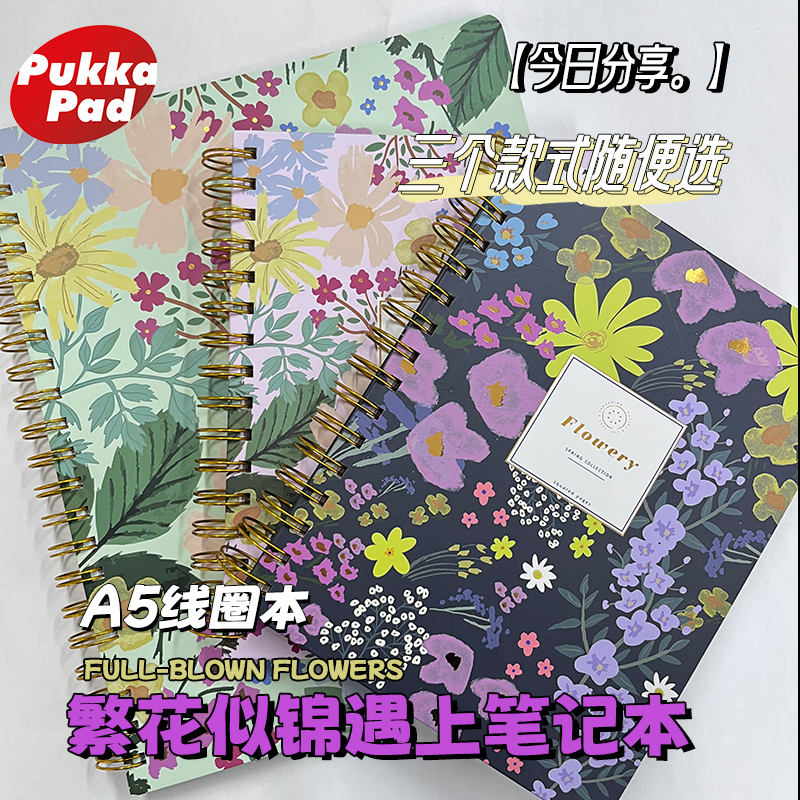 pukka高颜值线圈本A5烫金笔记本