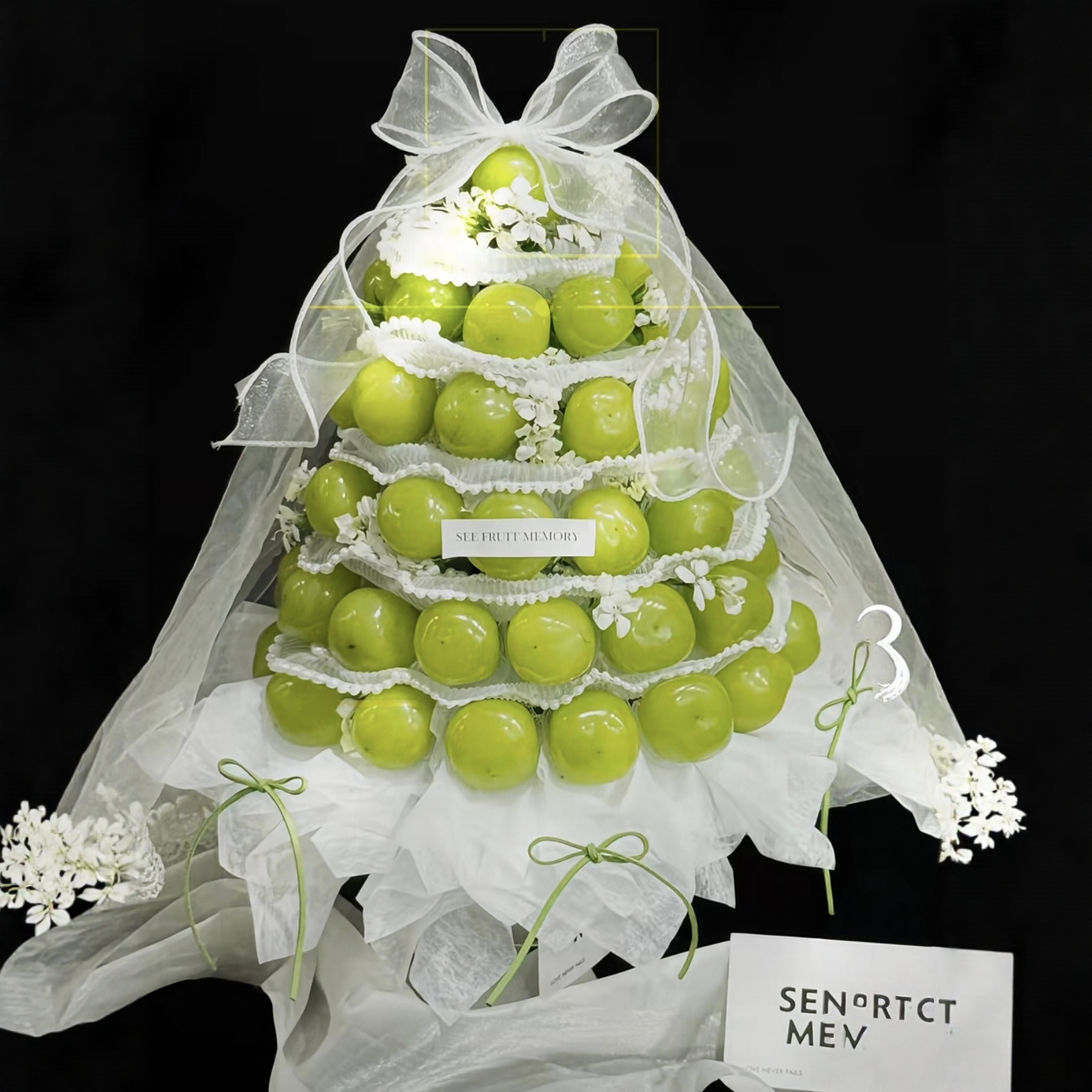 圣诞节创意在葡萄逃公主水果抱抱桶材料包送女友闺蜜老婆惊喜礼物