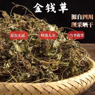 四川大叶金钱草干正品 金钱草 新货天然四川金钱草泡水冲500g泡茶