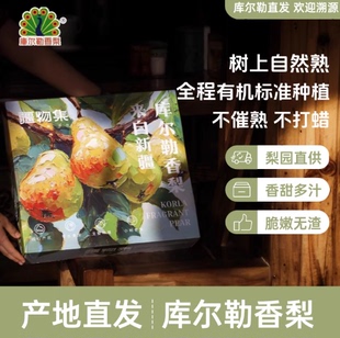 新疆库尔勒香梨新年礼盒装精选新鲜当季水果礼盒