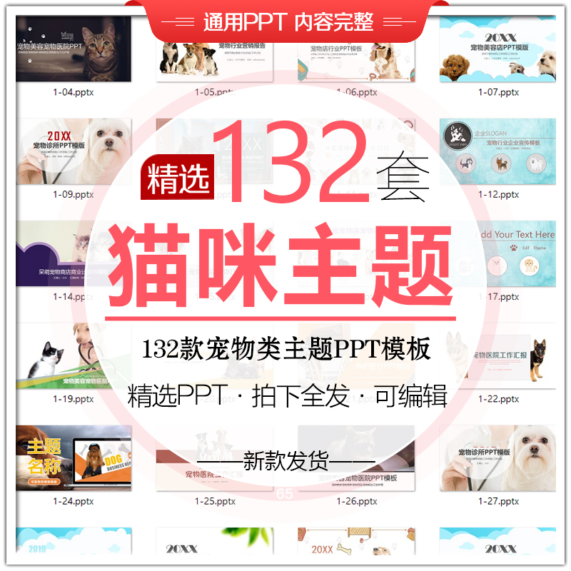 猫咪宠物PPT模板宠物医院美容活动策划可爱卡通动物手绘动态素材
