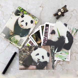 成都大熊猫基地可爱花花写真明信片邮局旅游周边纪念品文创礼物
