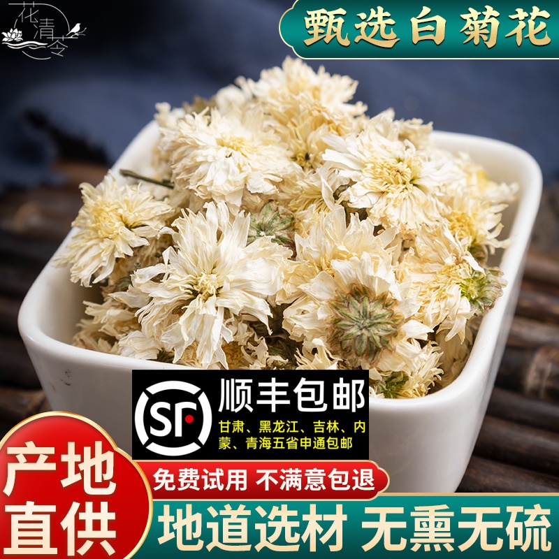 黄山贡菊250g原产地新货黄山贡菊白菊花非七月菊非杭白菊花茶泡茶
