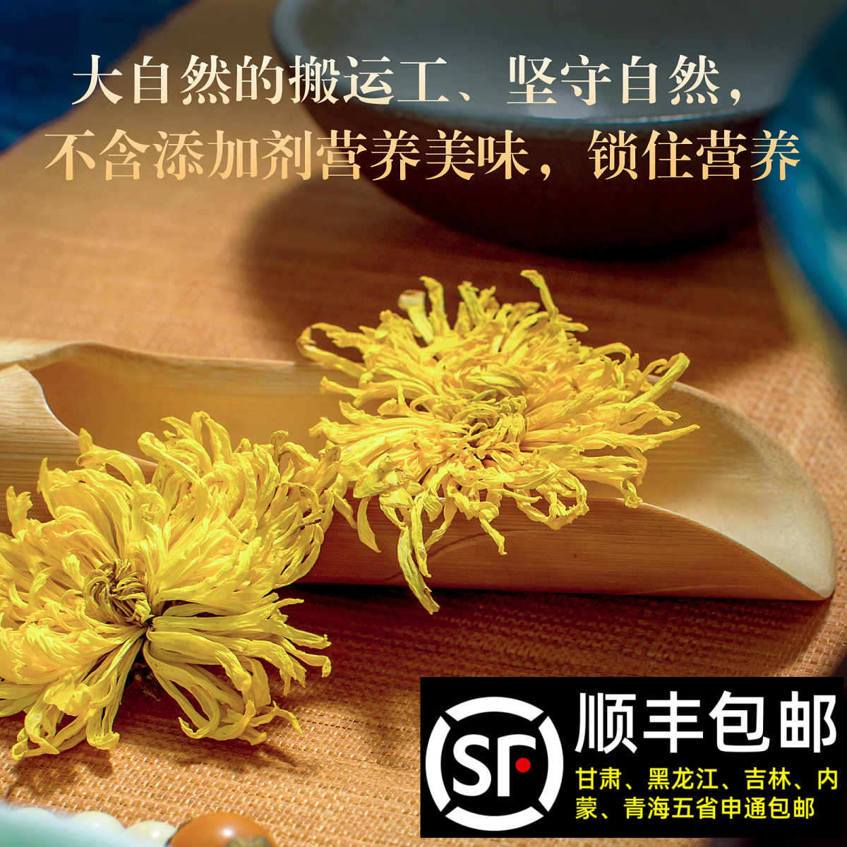 金丝皇菊花茶正品金丝皇菊非特级官方旗舰店贡菊黄菊一朵一杯大朵