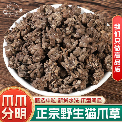 野生猫爪草中药材正品野生水洗猫抓搭配夏枯草郁金蒲公英小毛茛