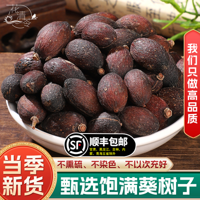 野生葵树子中药材500g250g广西大粒葵树籽老果蒲扇子葵扇籽蒲葵籽