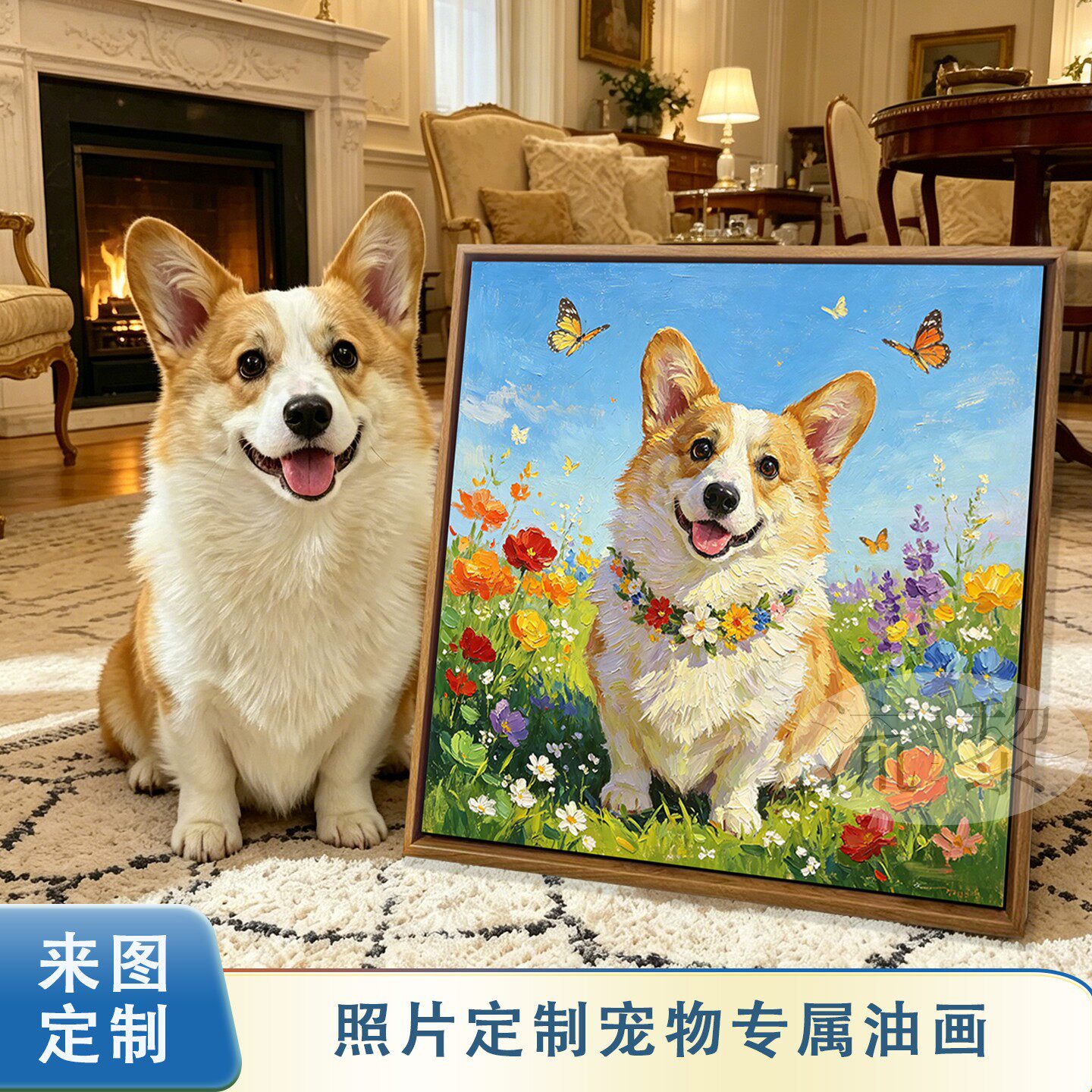 治愈柯基猫咪照片定制装饰画图片