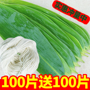 粽子叶棕叶新鲜的叶子端午节干粽叶商用批发大号新叶包粽子专用