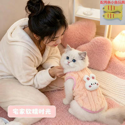 可爱小猫咪衣服秋冬装保暖防掉毛马甲宠物狗狗比熊小猫德文猫衣服