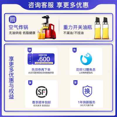 德国贝尔斯顿9028榨油机全自动智能家用小型商用电动家庭炸油机