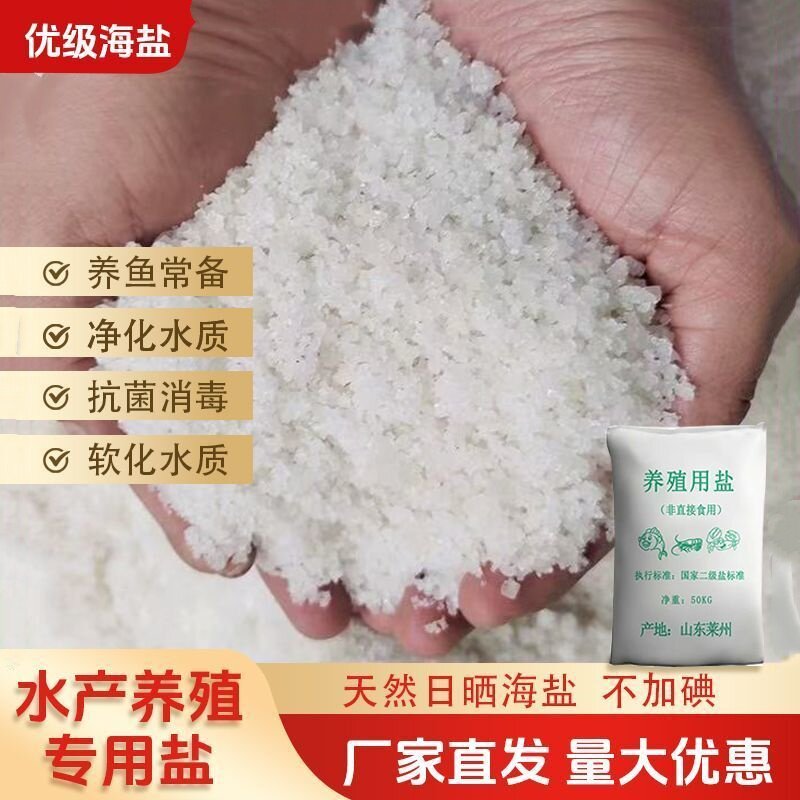 日晒无碘海盐工业盐锦鲤鱼塘杀菌
