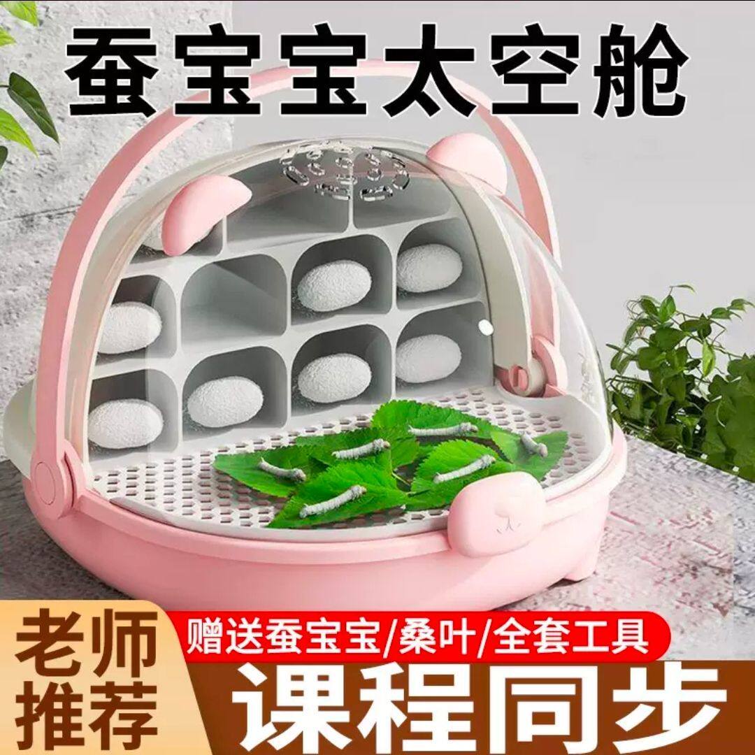 天然彩色蚕卵幼虫饲养箱三年级豪华别墅太空舱蚕宝宝学生养蚕套装