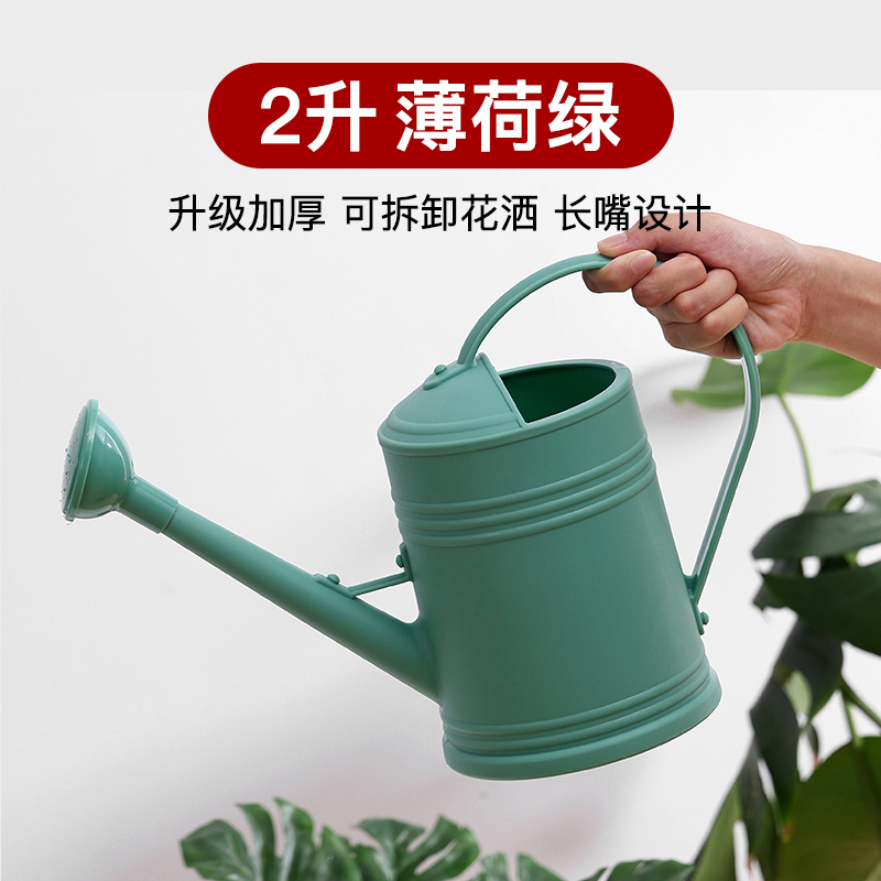 今年流行的【薄荷绿】洒水壶