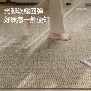 轻奢高级感卧室床边沙发茶几新西兰定制混纺 羊毛地毯客厅2024新款