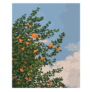 数字油画diy卧室风景手绘手工填充填色清新治愈花卉油彩挂画 夏橙