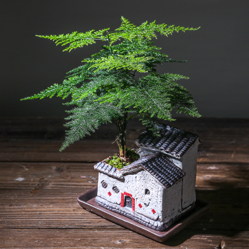中式陶瓷房子建筑自吸水花盆微景观造景办公桌创意个性文竹盆栽器