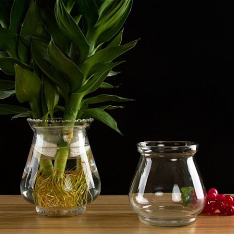 创意室内花卉绿萝水培花盆透明玻璃花瓶盆栽水养植物器皿鱼缸插花