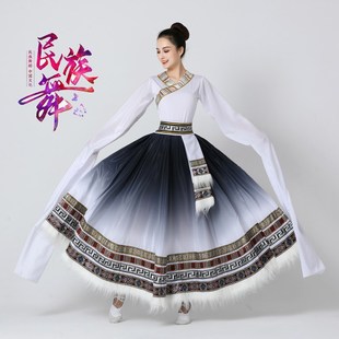 藏族舞蹈演出服少数民族学生艺考舞蹈藏式 半身裙广场舞大摆裙 水袖