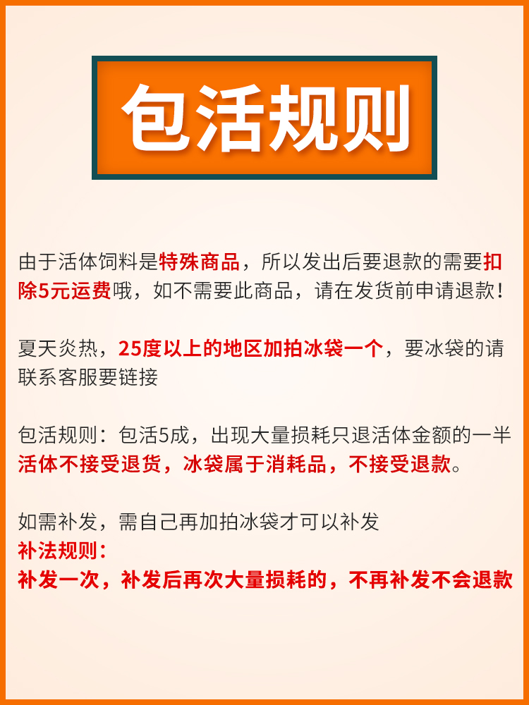 面包虫活体饲料黄粉虫鸟鱼龟蜥蜴金龙鱼鬃狮蝎子守宫食物幼体幼虫