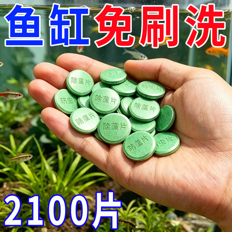 鱼缸除藻片绿藻青苔清除神器