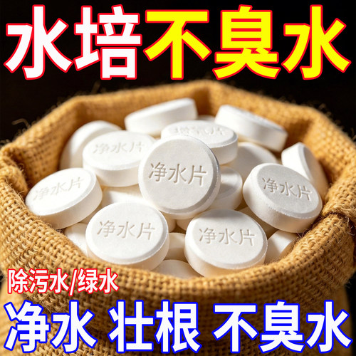 水培植物净水片鲜花花卉保鲜剂不臭水碗莲专用通用消毒片净化水质