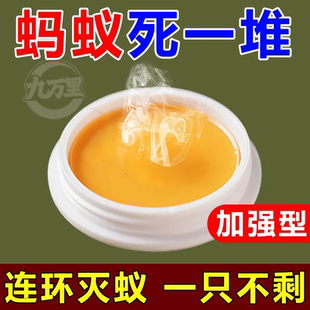 蚂蚁药强效出租屋家用无毒一窝端卧室厨房蚂蚁克星灭虫神器方便贴