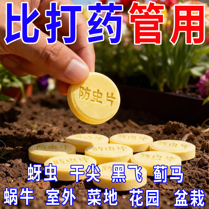 糖化硼肥片植物防虫片园艺多肉