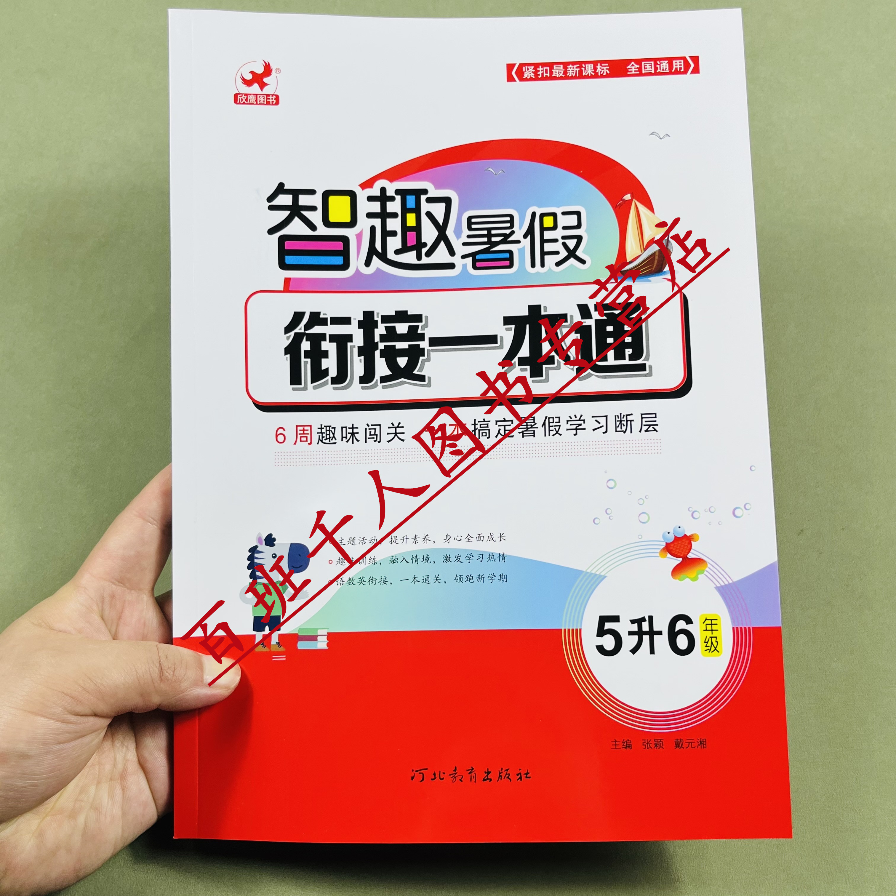 欣鹰智趣暑假衔接一本通5升6年级