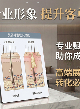 头部毛囊状况对比 养发美容院桌面摆件 专业宣传展示