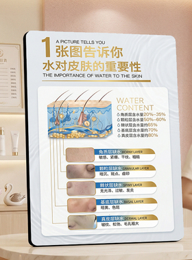 美容院水对皮肤重要性展示装饰摆件美业门店桌面装饰摆台