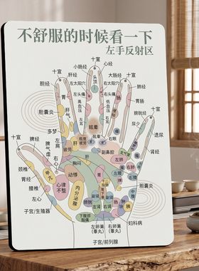 左手反射区养生科普美容院店内展示桌面摆件