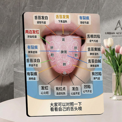 中医舌诊对照图摆件养生知识科普居家诊所桌面装饰参考立牌