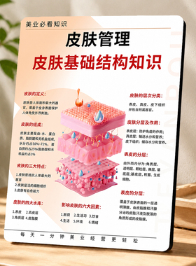 皮肤管理基础结构知识装饰摆件美业美容院前台科普展示摆台
