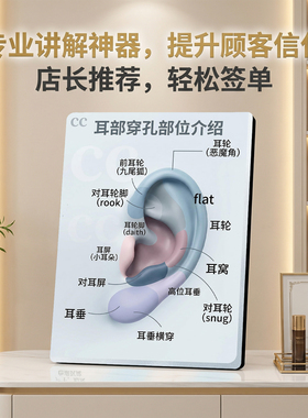 耳部穿孔部位介绍 美业店内展示桌面摆件专业宣传提升信任
