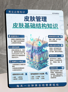 皮肤管理皮肤基础结构知识装饰摆件美业美容院科普展示摆台