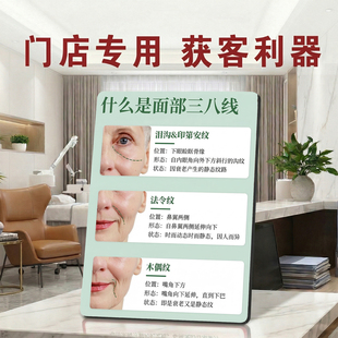 面部三八线科普 美容院店内宣传桌面摆件获客利器