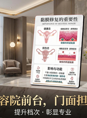 黏膜修复重要性 美容院店内展示 桌面摆件 提升档次