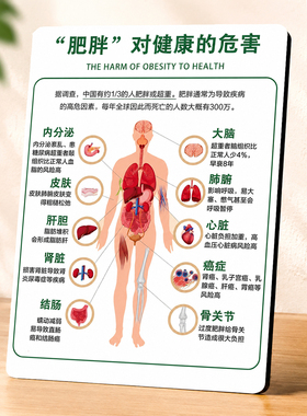 肥胖对健康危害科普提示牌健身房养生馆体重管理店装饰摆件