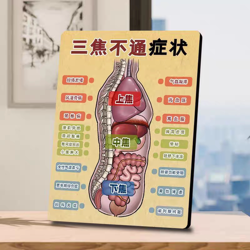 三焦不通症状中医医院介绍海报展示板相框养生理疗馆宣传装饰摆台