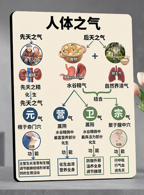 人体之气中医知识科普装饰摆件中医馆养生馆桌面装饰摆牌