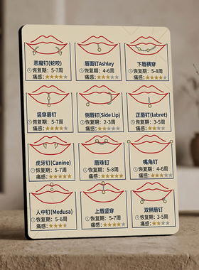 唇部钉位科普 美业店内宣传 桌面摆件清晰展示