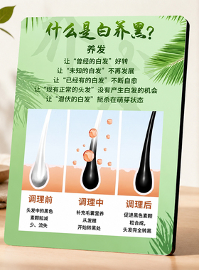 养发馆什么是白养黑知识宣传展示牌美发门店桌面装饰摆件