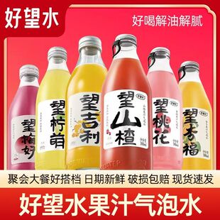 好望水望山楂望梅好望杏福果汁气泡水结婚伴手礼摆台布置乔迁批发