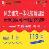风光储充一体化智慧园区示范项目可行性研究报告参考范本文档word