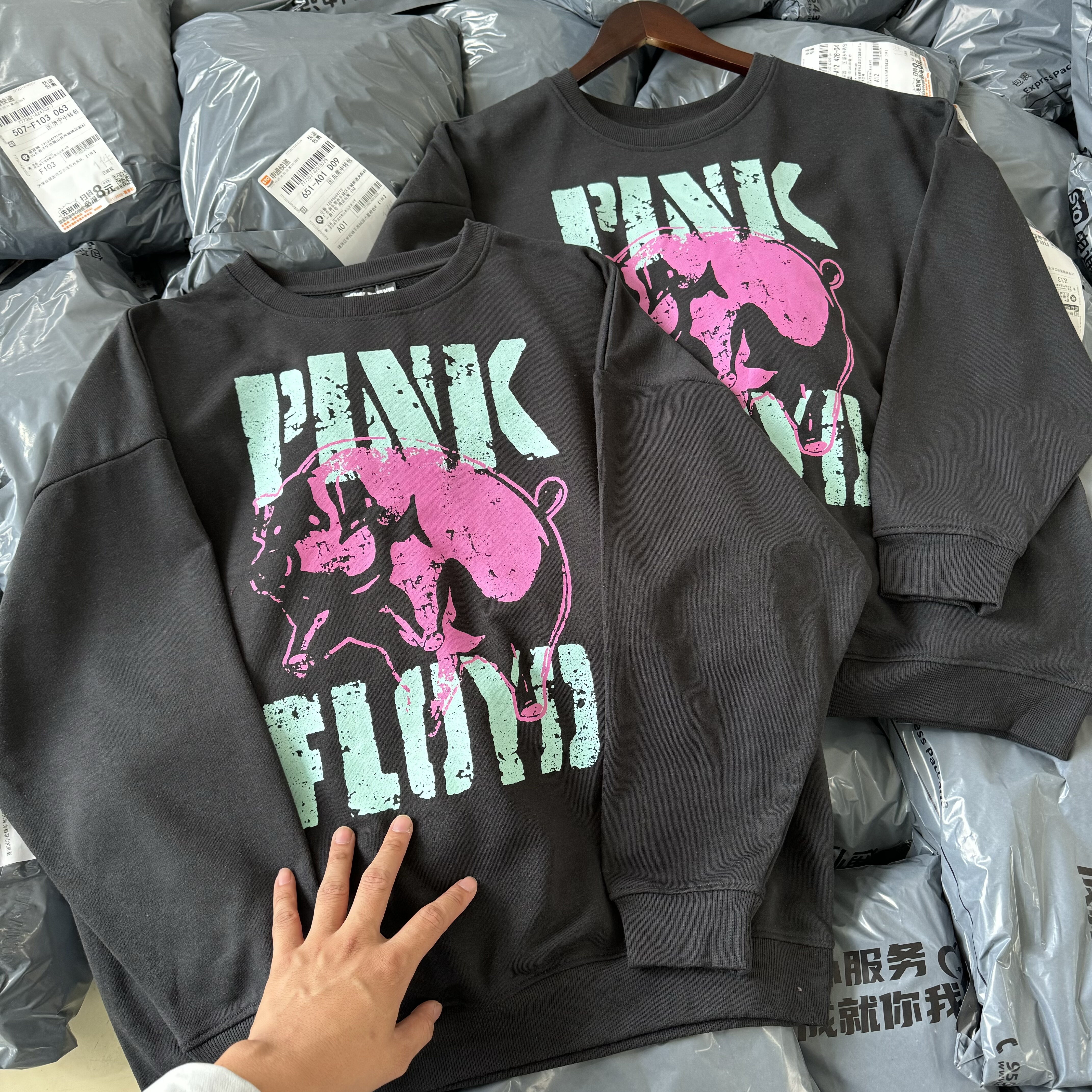 外贸 pink floyd平克弗洛伊德 毛圈飞猪圆领卫衣男女薄绒秋宽短版