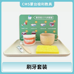 儿童区域玩具益智宝宝刷牙教具玩具套装 精细动作训练早教刷牙玩具