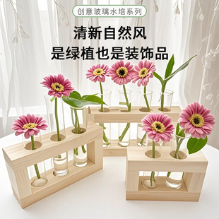 水培花瓶试管水养绿植插花植物容器简约木架摆件台面装 饰玻璃花器
