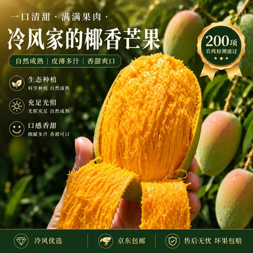 冷风家的椰香芒果 攀枝花椰香芒果五斤京东快递包邮