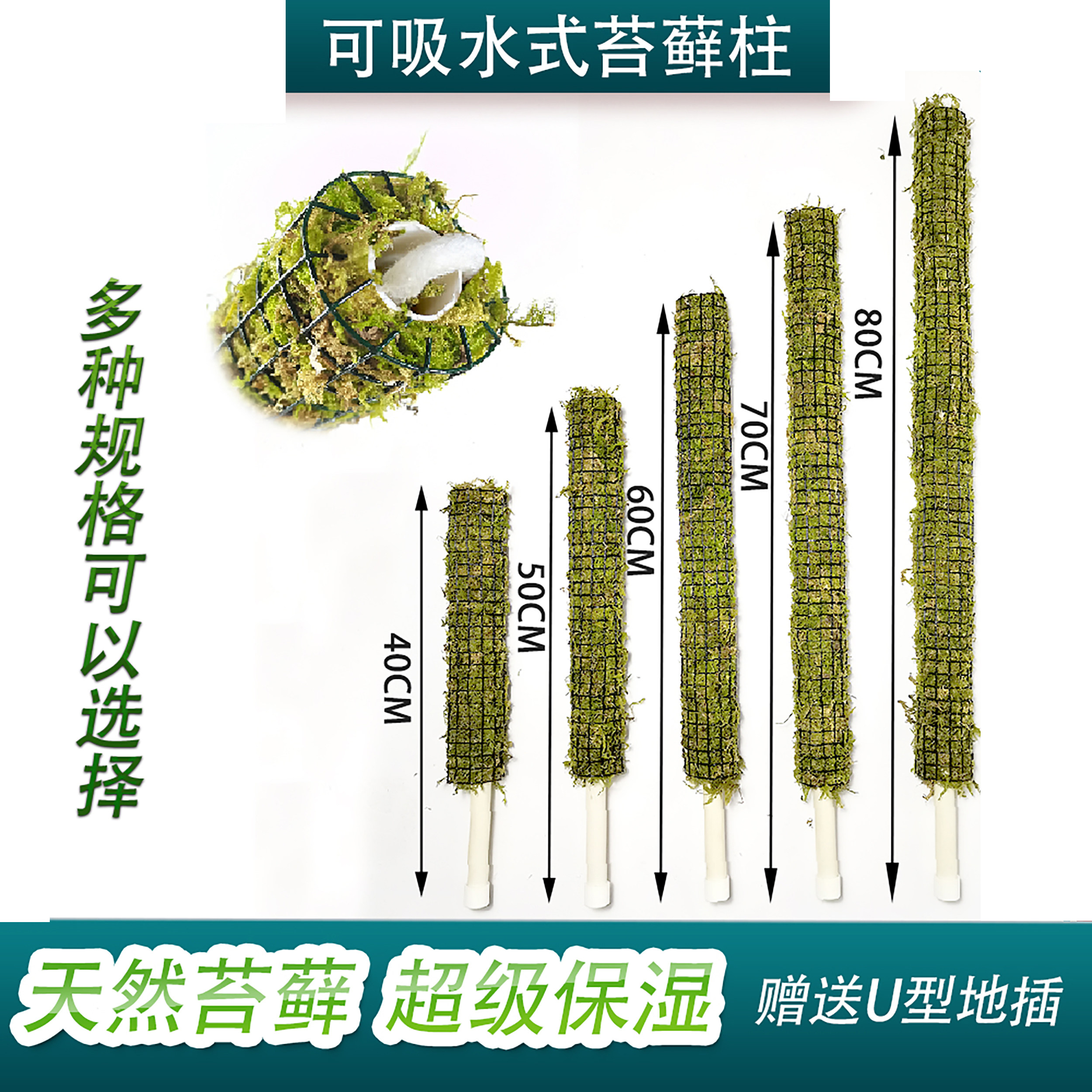 自吸水青苔水苔柱爬藤植物支撑杆图片