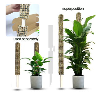 新型可拼接攀爬爬藤植物苔藓支撑杆蔓绿绒白锦白龟龟背竹水苔柱子